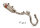 Akrapovic kpl. Anlage Evo