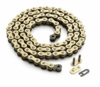 Kette 520DMS G&B 100 Rollen